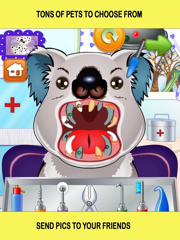 Pet Vet Dentist Doctor - Games for Kids Free