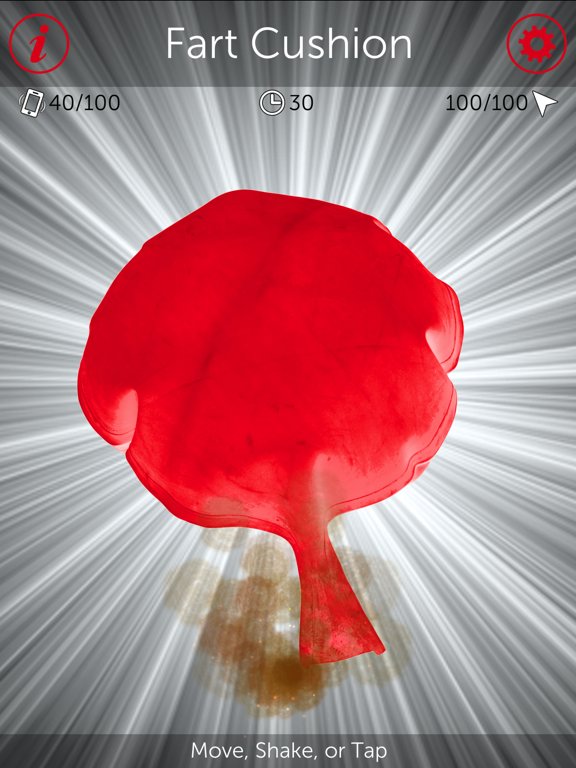 Fart Cushion
