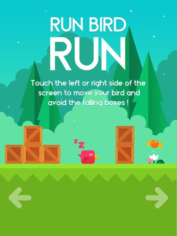 Run Bird Run