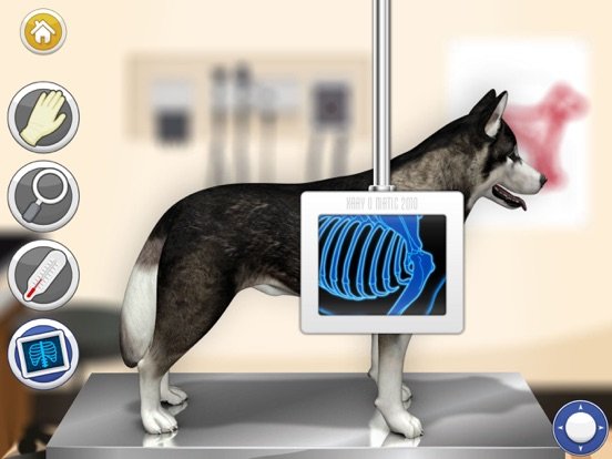 Dog Games: Pet Vet Doctor Care