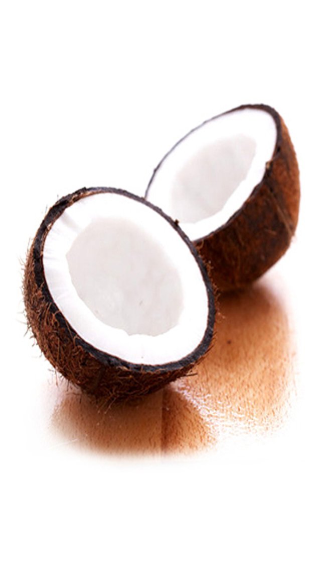 Coconut Horse