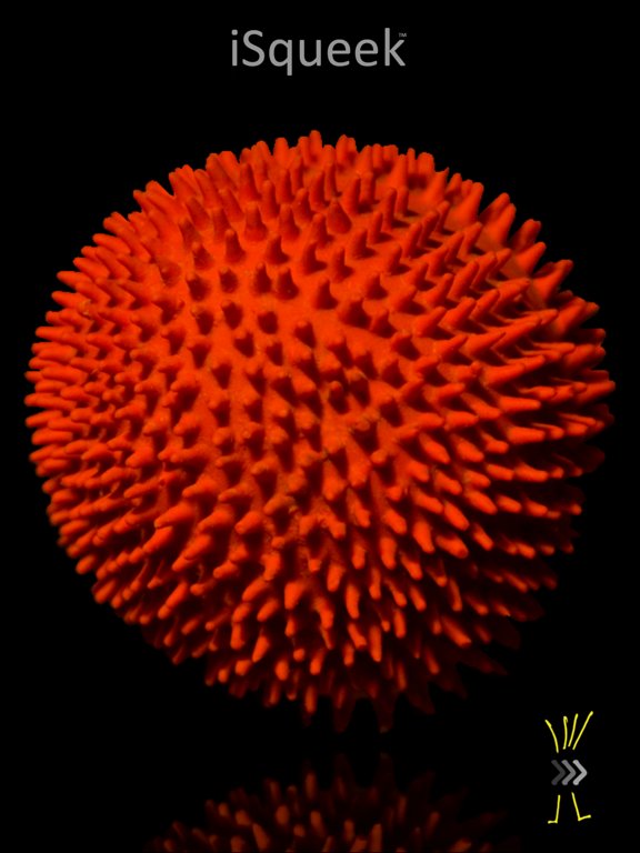 iSqueek - Dog Squeak Toys