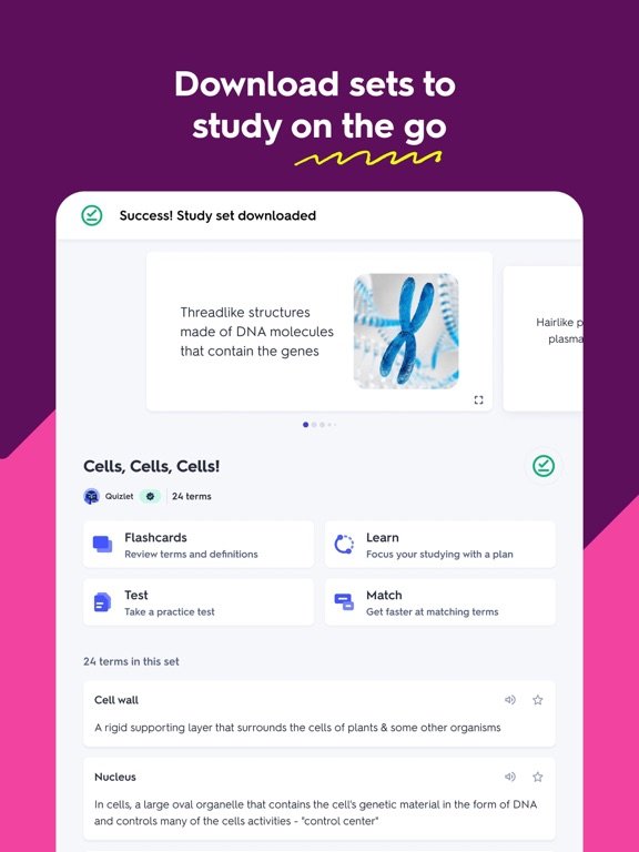 Quizlet: More than Flashcards