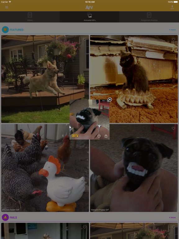 America’s Funniest Home Videos