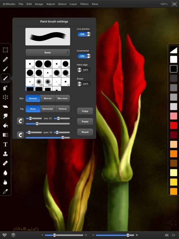 ArtStudio for iPad -Paint&Draw