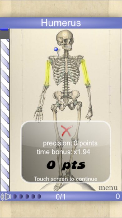 Speed Bones Lite (Quiz)