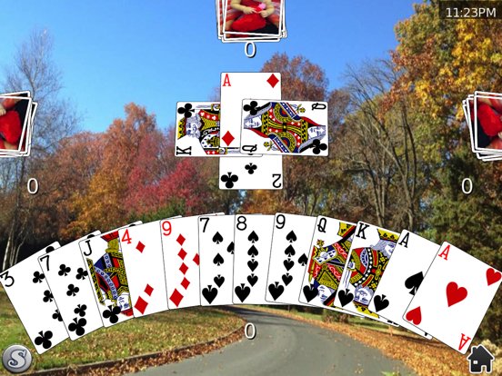 Card Shark Collection™