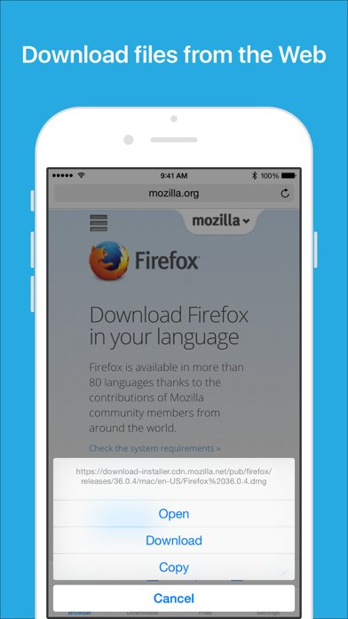 Files - File Manager & Browser