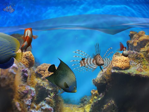 Fish Fingers! 3D Interactive Aquarium