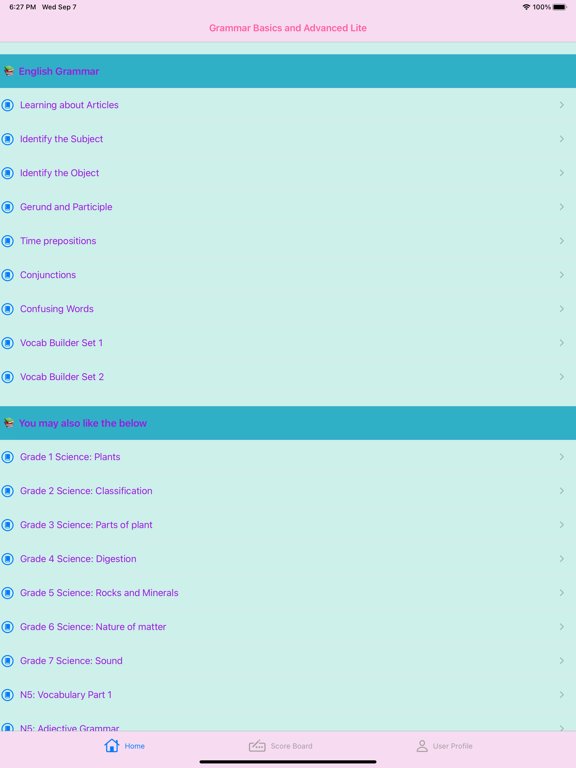 English Grammar Basics Lite
