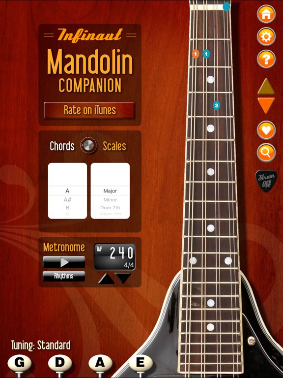 Mandolin Companion