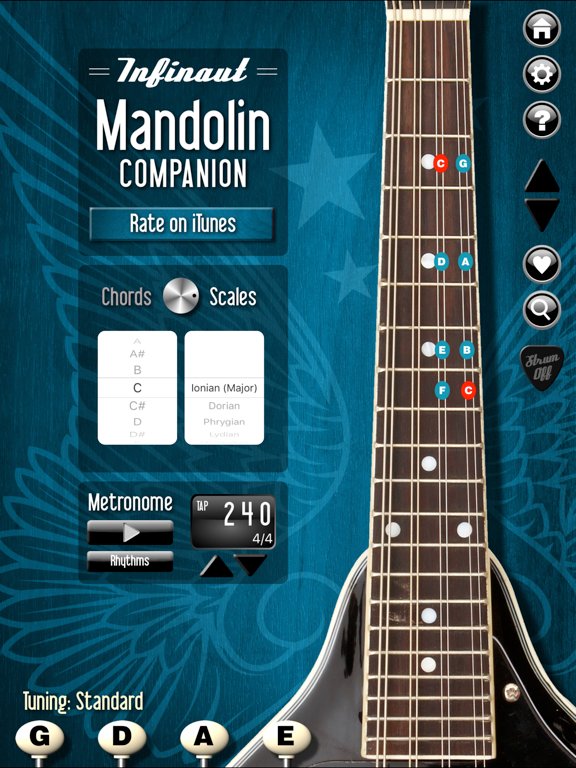 Mandolin Companion