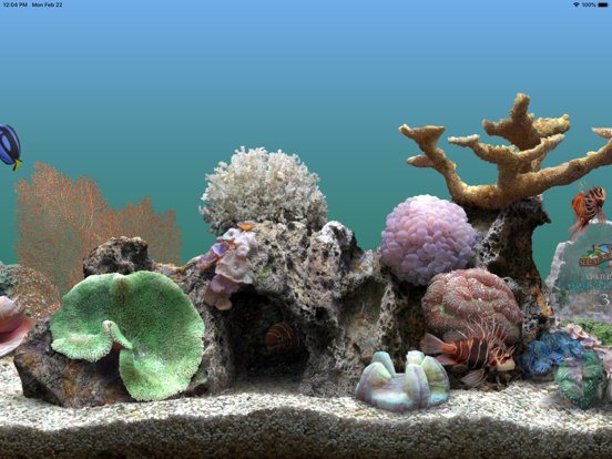 Marine Aquarium 2.6
