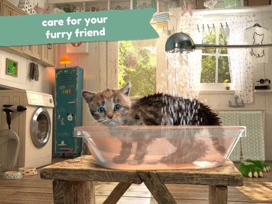 Little Kitten: Cat Adventures