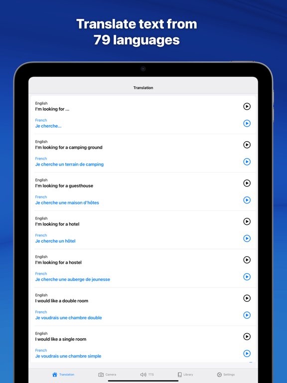 Translate Professional