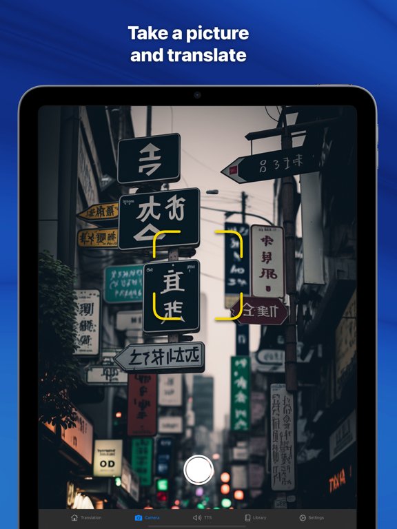 Translate Professional