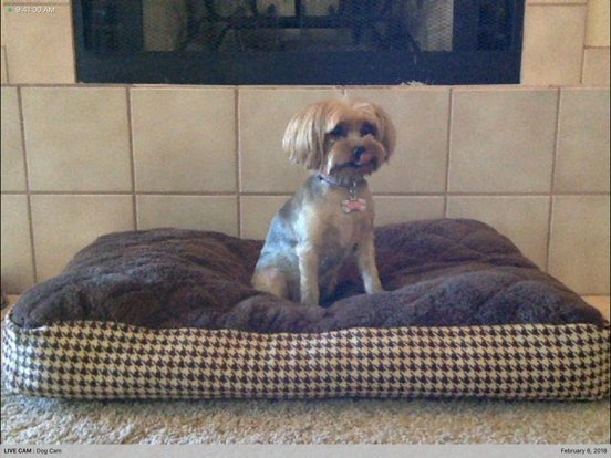 iCam - Webcam Video Streaming