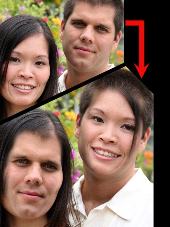 iSwap Faces Pro
