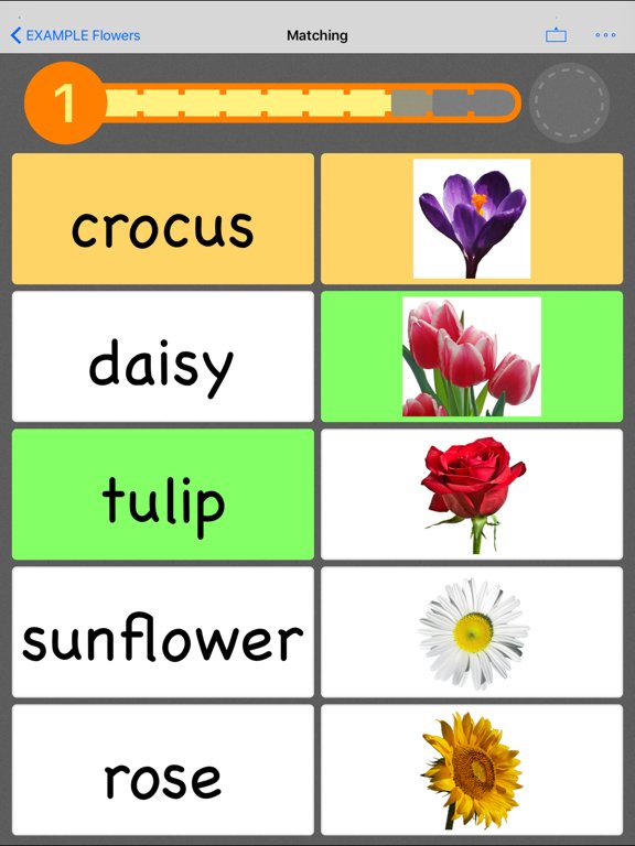 Flashcards by NKO: Flash Cards