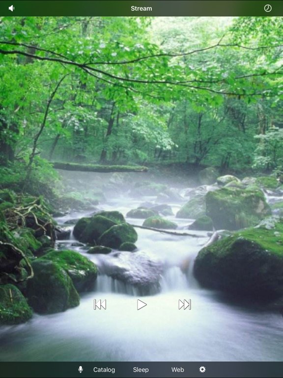 White Noise Recorder