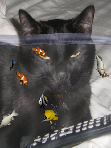 Fish Fingers! 3D Interactive Aquarium FREE