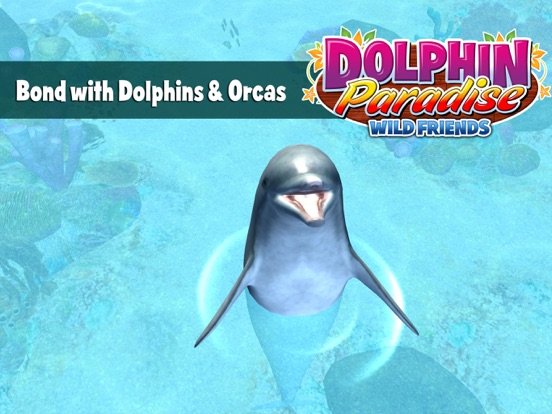 Dolphin Paradise: Wild Friends