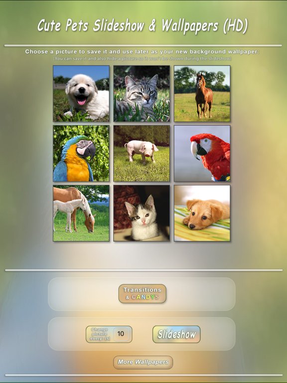 Cute Pets Slideshow & Wallpapers (HD)