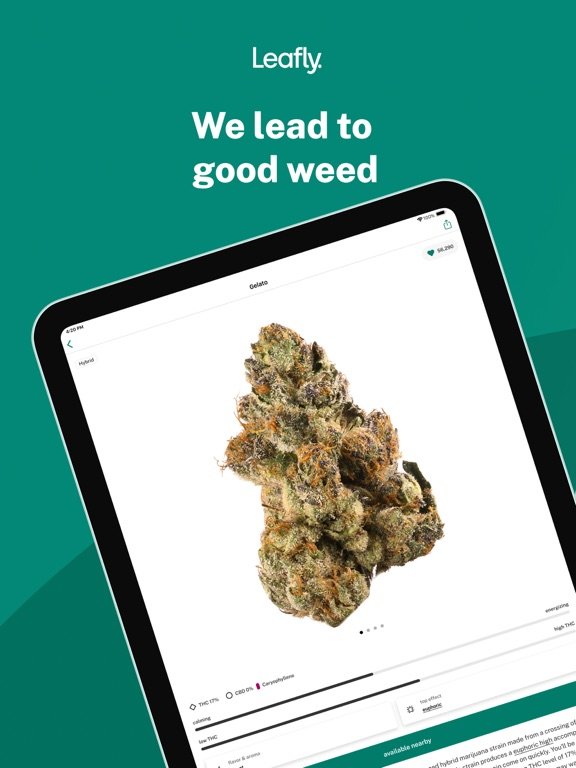 Leafly: Find Weed Near You