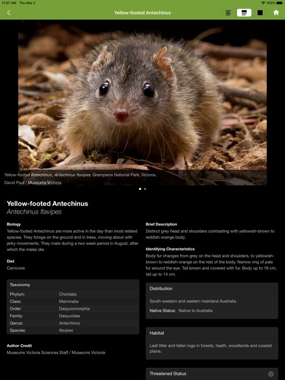 Field Guide to Victorian Fauna