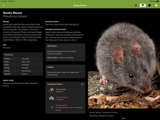 Field Guide to Victorian Fauna