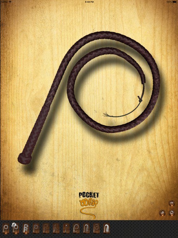 Pocket Whip: Original Whip App