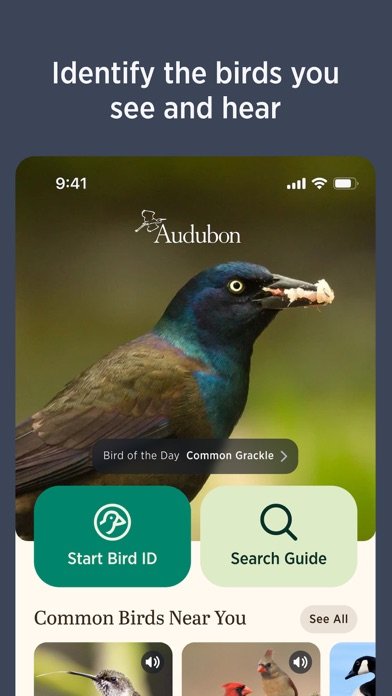 Audubon Bird Guide