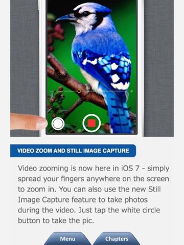 Secrets for iPod Touch Lite - Tips & Tricks