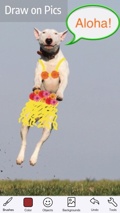 Doodle Buddy Paint Draw App