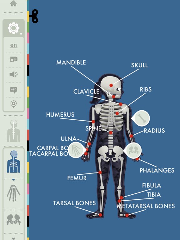 The Human Body by Tinybop