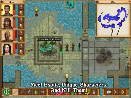 Queen's Wish: The Conqueror