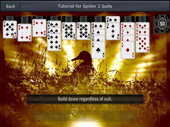 Solitaire 3D for iPad