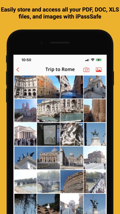 Password Manager iPassSafe .
