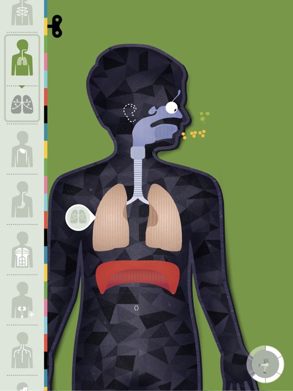 The Human Body by Tinybop