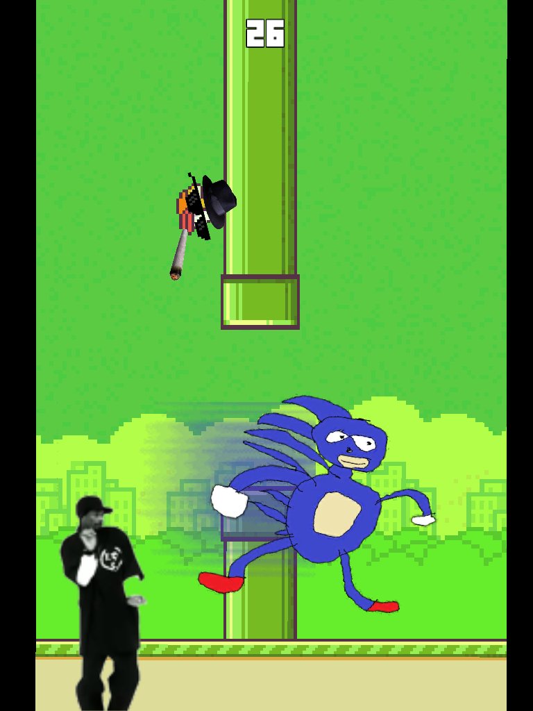 MLG Bird