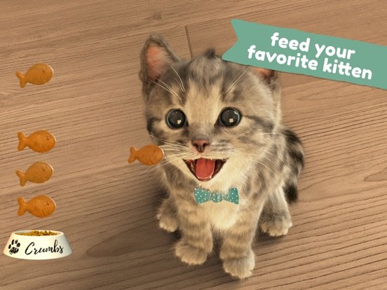 Little Kitten: Virtual Pet Cat