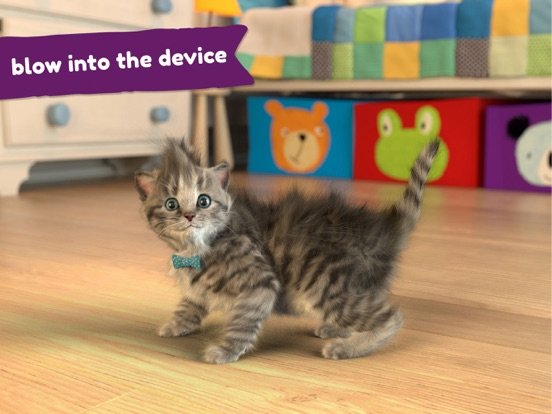 Little Kitten: Virtual Pet Cat