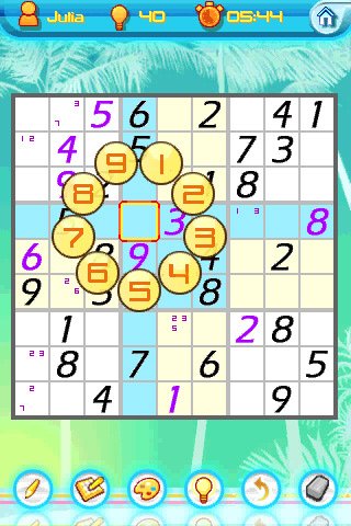 P.Sudoku