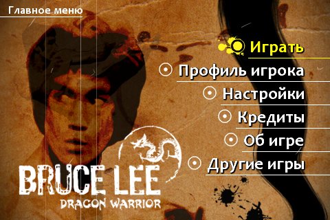 Bruce Lee: Dragon Warrior