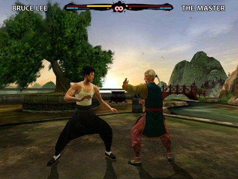 Bruce Lee: Dragon Warrior