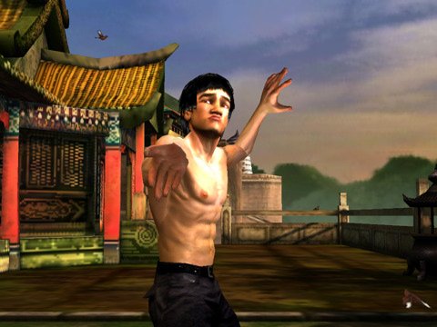 Bruce Lee: Dragon Warrior