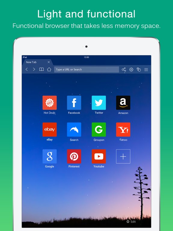Dolphin Web Browser for iPad