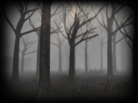 Slender Rising