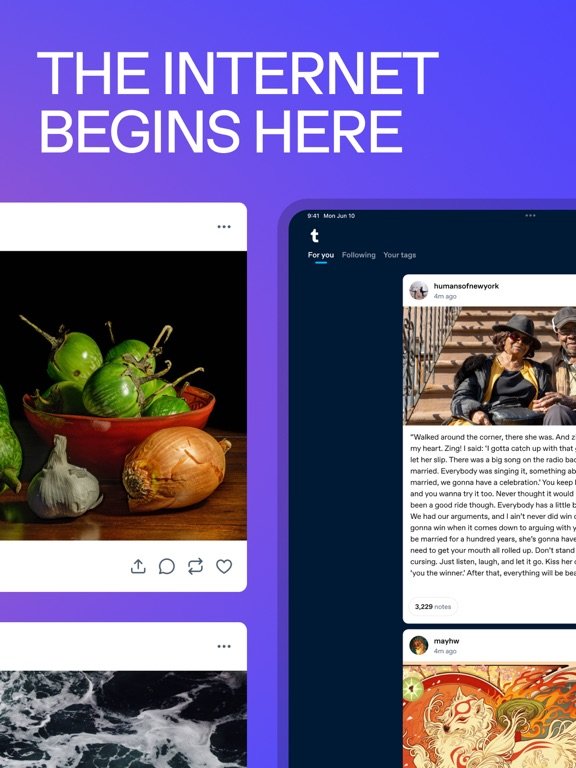 Tumblr: Social Media & Art