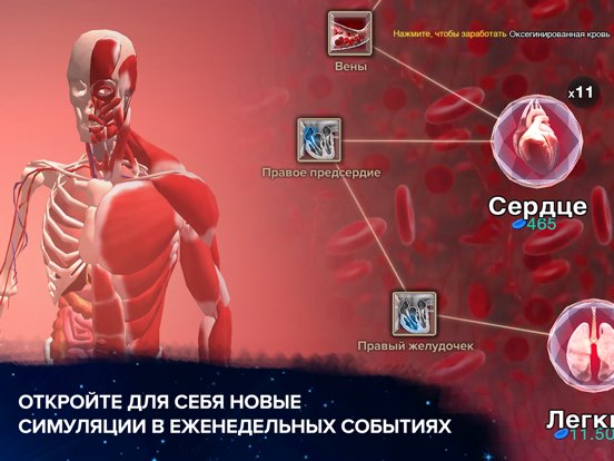 Ячейка к Сингулярности: космос